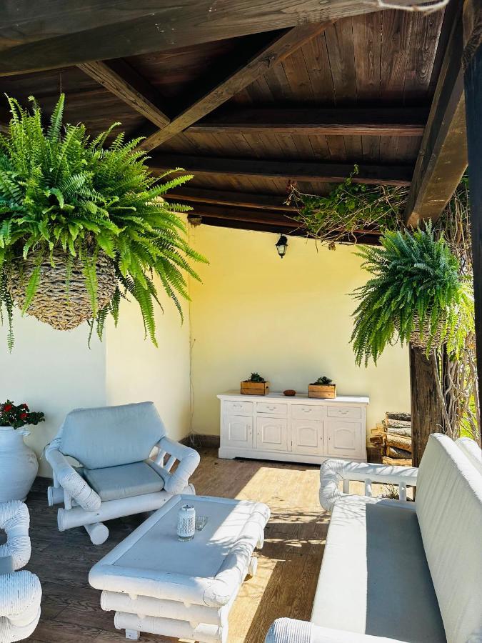 Chanel Garden Relaxation Home Formello Zewnętrze zdjęcie